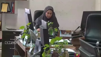 تمدید مهلت بخشودگی جرایم مالیاتی تا سقف ۷۰۰ میلیون تومان