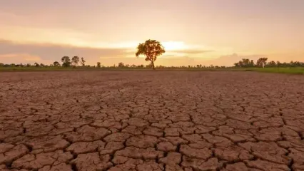 زمان بازگشت ال‌نینو مشخص شد
