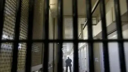 مهدی محمودیان و عبدالله مومنی و ویدا ربانی آزاد شدند