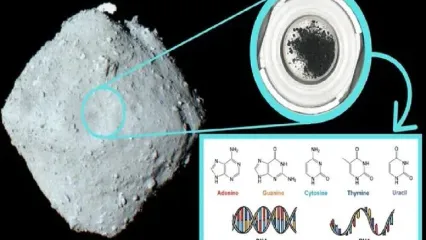 کشف اجزای کلیدی «دی‌ان‌ای» انسان در یک سیارک در عمق فضا