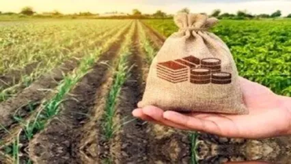 پوشش بیمه جدید برای این گروه از افراد همراه با جزییات