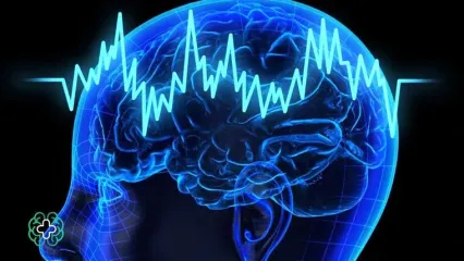 چرا هنوز مرگ مغزی را باور نداریم؟!
