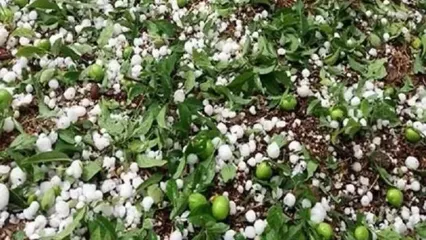 ویدئو دیدنی از بارش تگرگ در شهر اردبیل