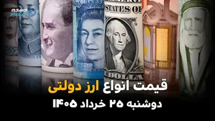 قیمت ارز دولتی امروز دوشنبه ۲۵ خرداد ۱۴۰۵ | یورو در چه مسیری حرکت می‌کند؟