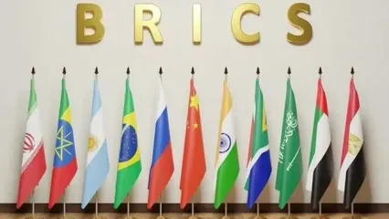 دیدار وزیر اقتصاد ایران با رئیس بانک توسعه نوین بریکس
