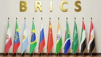وزیر اقتصاد ایران با رئیس بانک بریکس دیدار کرد