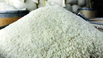 سقوط قیمت برنج ایرانی | قیمت برنج ایرانی نصف شد | قیمت برنج ایرانی کیلویی چند؟