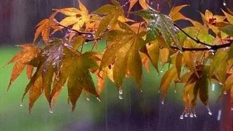 باران‌ پاییزی در غالب نقاط کشور