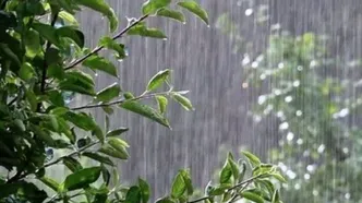 ویدئویی از بارش شدید و شبانه باران در عسلویه