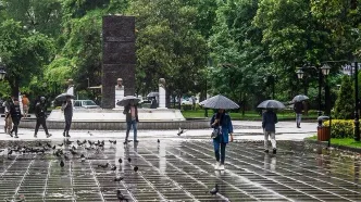 بارش شدید باران در ۷ استان