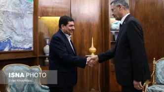 تصاویر: دیدار وزیر نفت عراق با معاون اول رئیس جمهور