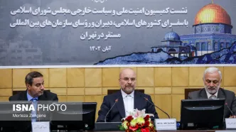 تصاویر نشست مجلس با سفرای کشورهای اسلامی