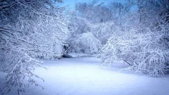 زیبایی های بارش برف در نیشابور + فیلم