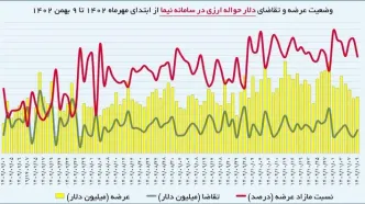 60 تا 70 درصد ارزهای سامانه نیما مشتری ندارد