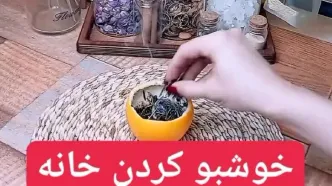 میخوای خانه‌ات همیشه خوشبو باشه؟ بیا تا یک ترفند ساده نشونت بدم+ویدئو