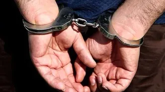 سارقان ۲۰ خانه در گیشا در بازداشت شدند