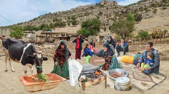 (ویدئو) پخت نان بلوط و کله پاچه بره توسط مادربزرگ اهل چهارمحال و بختیاری