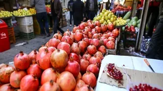 میوه شب یلدا گران می‌شود؟  / آخرین جزییات