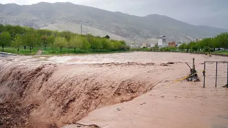 بارش شدید باران منجر به تعطیلی مدارس شد / خودرو ها در آب گیر افتادند + فیلم