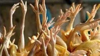 یک کشور قدرتمند مشتری پای مرغ‌های ایران شد