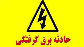 برق 17 همدانی را خشک کرد + جزییات