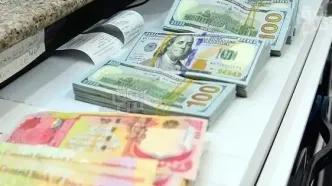 قیمت دلار و یورو در مرکز مبادله امروز دوشنبه ۲۹ اردیبهشت ۱۴۰۴