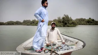 رکوردزنی سیستان و بلوچستان در نرخ بیکاری مردان! + نمودار