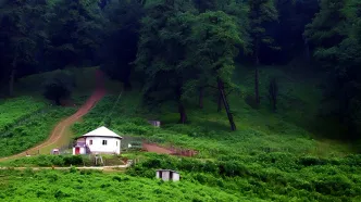 ببینید / زیبایی های روستای اسب چین در مازندران + فیلم