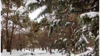 بیشترین برف در کدام مناطق ایران آمد؟