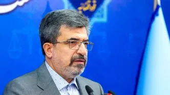 بابک زنجانی کجاست؟/ چه اقداماتی برای بازگرداندن مالک کوروش کمپانی انجام شده است؟