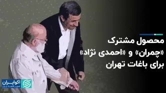 محصول مشترک «چمران» و «احمدی نژاد» برای باغات تهران