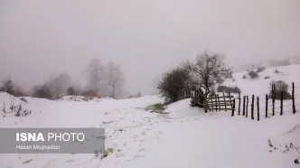 بارش سنگین برف در گردنه ژالانه اورامان