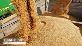 حمل نهاده‌های دامی به واحدهای تولیدی به دستور رئیس‌جمهور آغاز شد