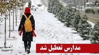 بارش برف و کولاک تعدادی از مدارس آذربایجان غربی را غیرحضوری کرد