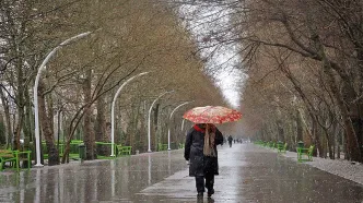 این استان‌ها بارانی می‌شوند