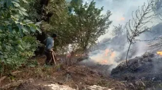 آخرین وضعیت اطفای حریق در ۳ نقطه از جنگل‌های مازندران/ احتمال وقوع آتش‌سوزی‌های مجدد طی امروز و فردا