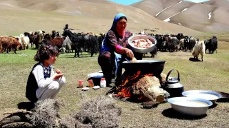 (ویدئو) نمایی از نحوه پخت چلو مرغ محلی توسط یک مادر و دختر عشایر افغان