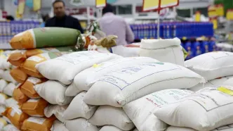 ارقام ارزان و گران برنج ایرانی چند شد؟