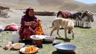 (ویدئو) روش هوشمندانه بانوی عشایر افغان برای پخت مرغ میان فویل آلومینیومی