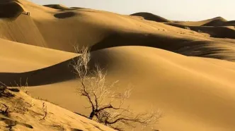 ۸ نفر در کویر دامغان گم شدند