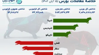 واکنش بورس به نرخ خوراک پتروشیمی