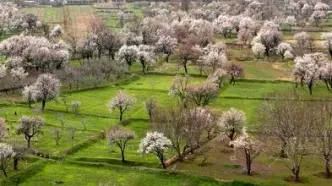 باغستان سنتی قزوین در جیاس ثبت شد