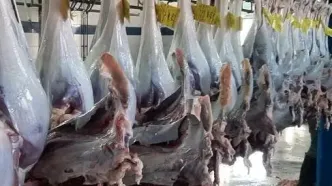 اطلاعیه مهم درباره کالابرگ الکترونیک؛ این جنس هم به اقلام قابل خرید اضافه شد