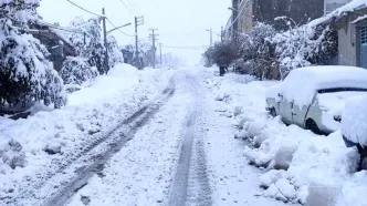 بارش شبانه برف در جاده چالوس / کندوان  زیر برف رفت + فیلم
