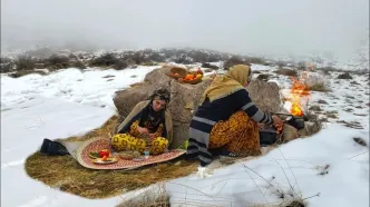 (ویدئو) پخت خورشت سبزی (قرمه سبزی) با مرغ به روش دو بانوی روستایی کردستانی