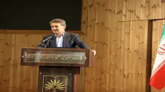 کاردرمانی نگین نظام توانبخشی کشور است