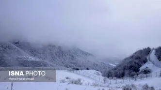 تشدید بارش برف و باران در این چند استان