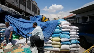 همشهری: نرخ عمده فروشی برنج،کیلویی5-6هزارتومان گران شد