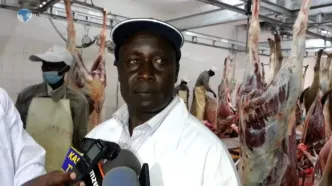 (ویدئو) فرآیند سلاخی و آماده سازی گوشت الاغ در یک کشتارگاه چینی در کنیا