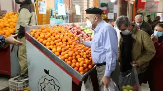 غرفه‌داران میدان مرکزی تره‌بار تهران شناسنامه‌دار می‌شوند